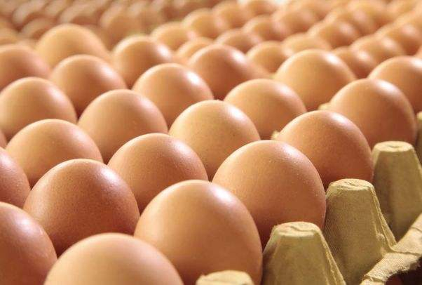 2022年泰国蛋鸡行业将出现严重异常竞争