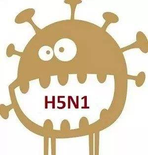 最新研究：新型H5N1病毒可能感染哺乳动物